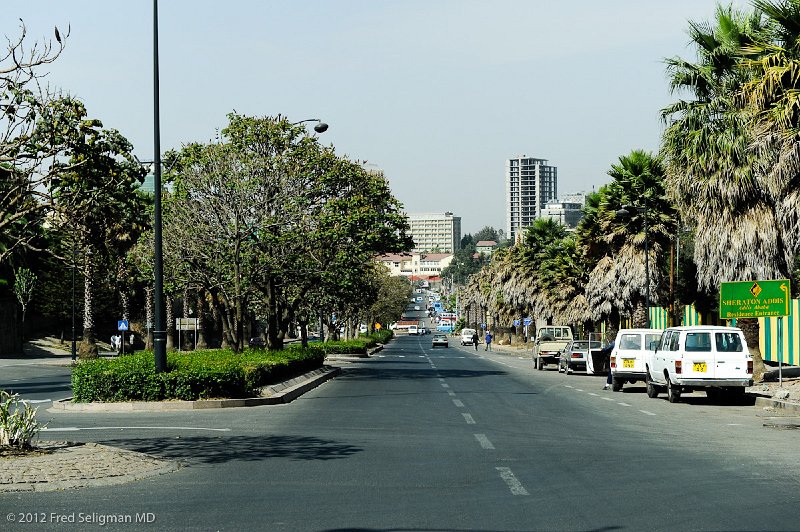 20120328_092222 Nikon D3S 2x3.jpg - A tree lined boulevard leads further up to the Sheraton Hotel and beyond that to the Presidential residence on Menelik II Avenue